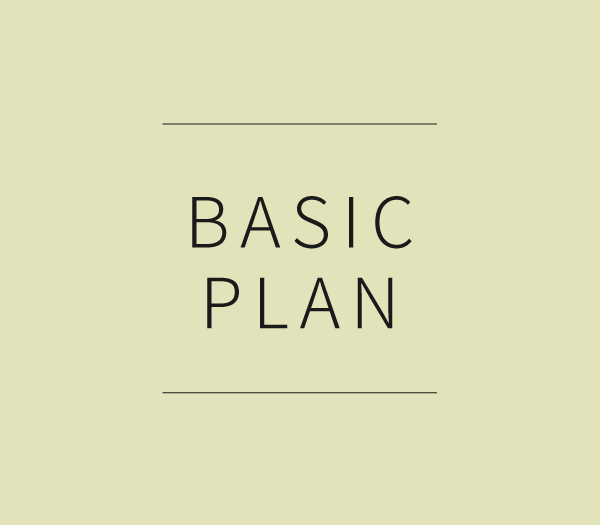 BASIC PLAN
